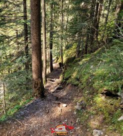 ⛰️ Gorges de l’Avançon – Les Plans-sur-Bex