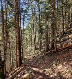 ⛰️ Gorges de l’Avançon – Les Plans-sur-Bex