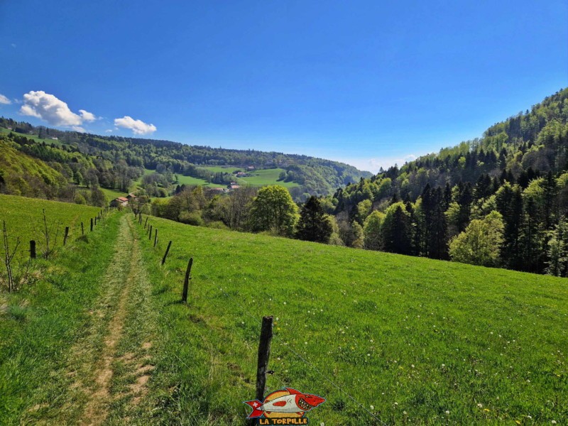 Le passage le long des pâturages. gorges de Covatannaz