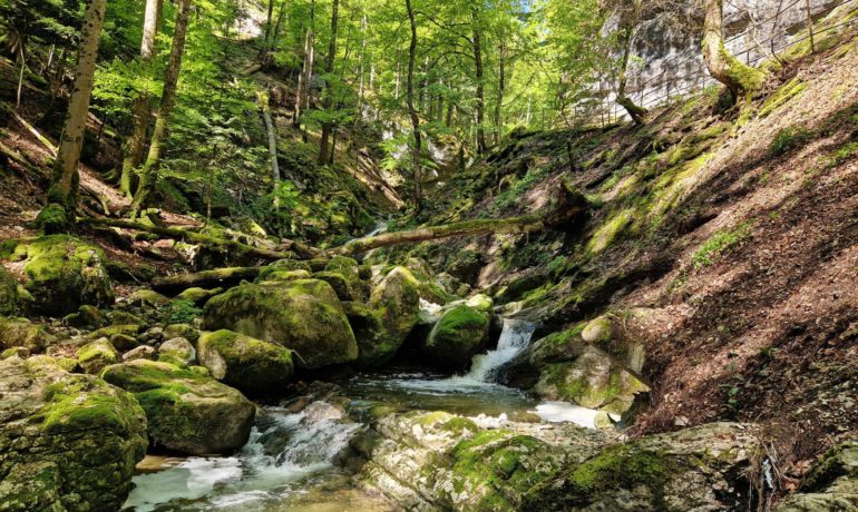 ⛰️ Gorges de Covatannaz – Ste-Croix