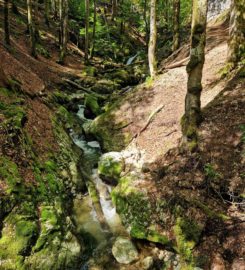 ⛰️ Gorges de Covatannaz – Ste-Croix