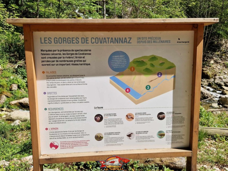 Un panneau didactique sur les gorges de Covatannaz qui donnent des information sur la géologie et la faune locale. gorges de Covatannaz