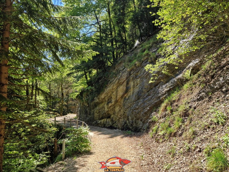 Route Forestière. gorges de Covatannaz