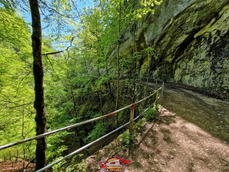 Route Forestière. gorges de Covatannaz