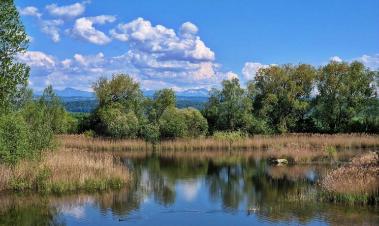 🚤 Étang d’Arnex – Arnex-sur-Orbe