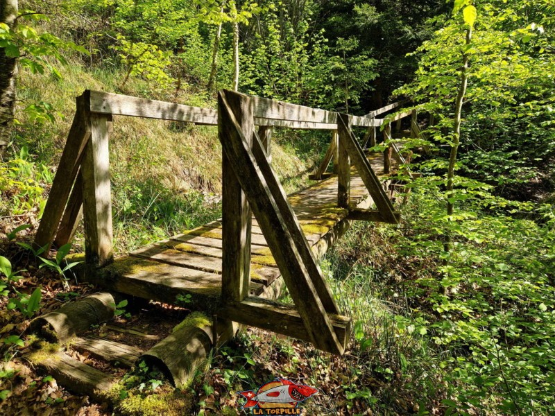 Sentier d'accès. pont. Cascade de la Tuayre. Chute d'Eau à Vulliens.