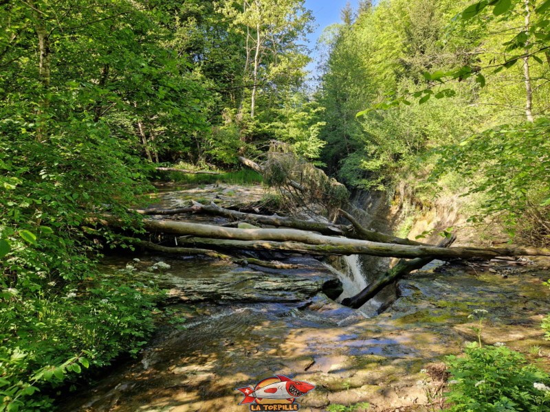 Cascade de la Tuayre. Chute d'Eau à Vulliens.