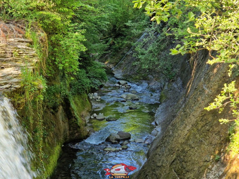 Cascade de la Tuayre. Chute d'Eau à Vulliens. Après la chute d'eau, la rivière forme une gorge dans la molasse.