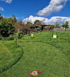 🏌️⛳ Familigolf de Crémin – SwinGolf et MiniGolf