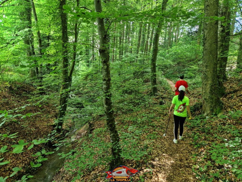 Un sentier dans la forêt d'environ 200 mètres de longueur relie les zones 1 et 2.