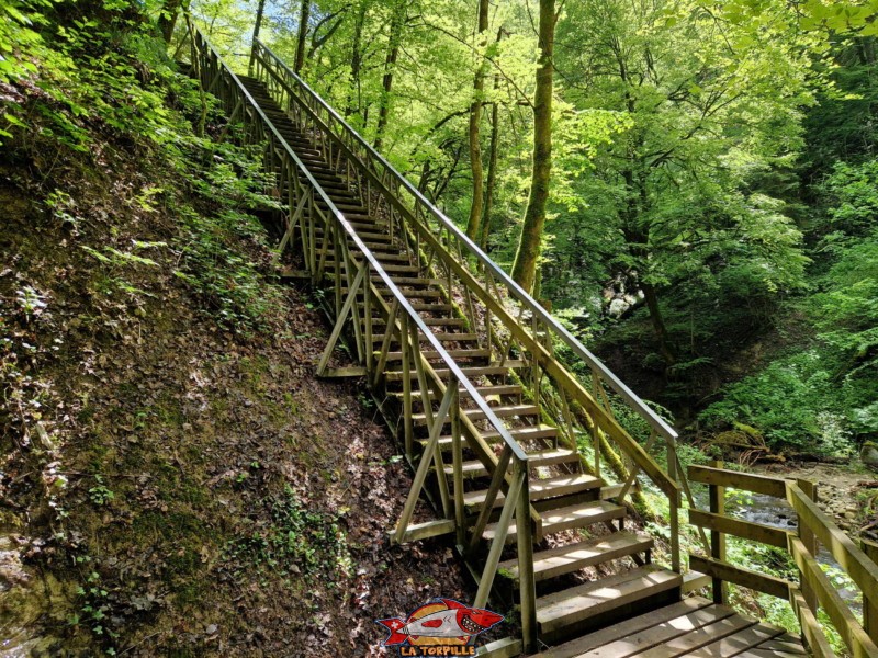 Vallée du Gottéron - Sentier