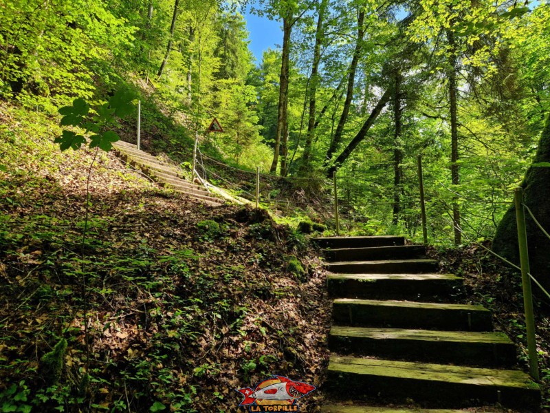 Vallée du Gottéron - Sentier. Gorges du Gottéron, Fribourg.