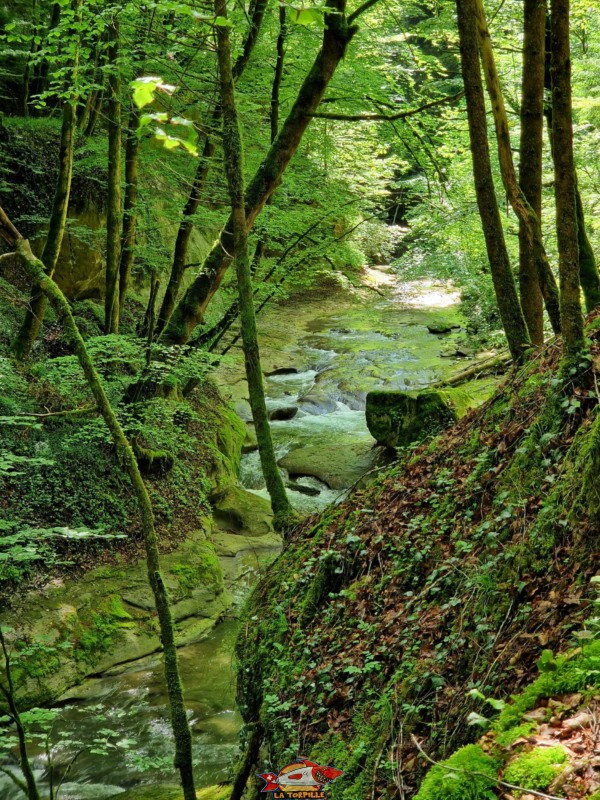 Vallée du Gottéron - Sentier. Gorges du Gottéron, Fribourg.