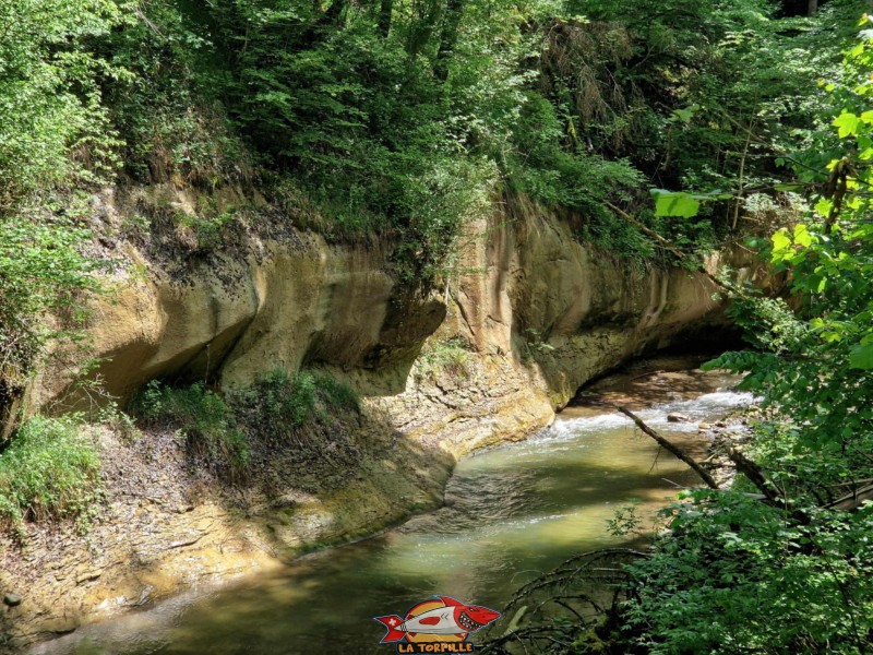 Vallée du Gottéron - Sentier. Gorges du Gottéron, Fribourg.