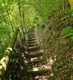 ⛰️ Gorges du Gottéron – Fribourg