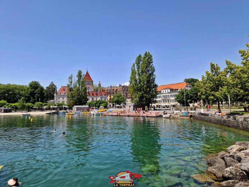 Une vue d'ensemble du vieux port d'Ouchy. Lausanne.