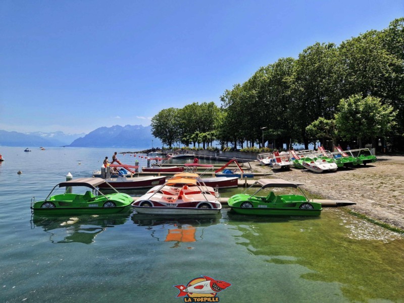 Bateaux et Pédalos. Location Pieds dans l'O, location bateaux, lausanne, vieux port d'ouchy.