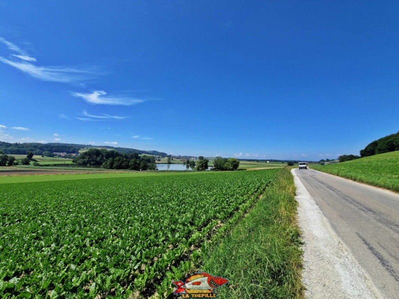 côté nord-est, vue de loin. Lac de Seedorf, Noréaz, Commune de Prez. 