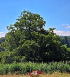 🚤 Lac de Seedorf – Noréaz