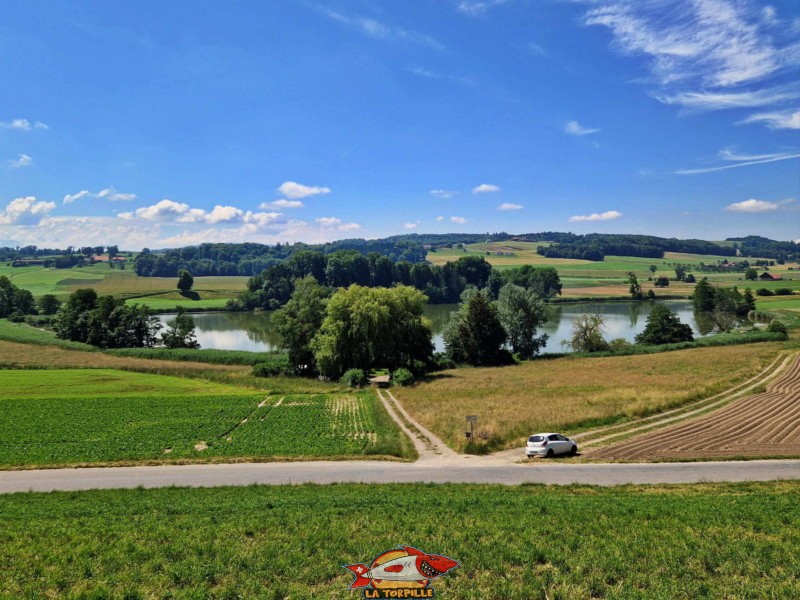 Côté Nord. Le lac de Seedorf dans le district de la Sarine.