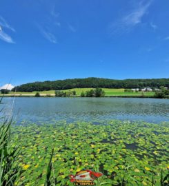 🚤 Lac de Seedorf – Noréaz