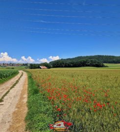 🚤 Lac de Seedorf – Noréaz