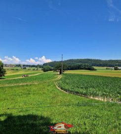 🚤 Lac de Seedorf – Noréaz