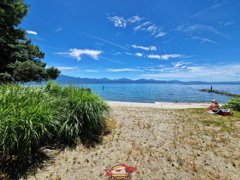 Le côté ouest de la plage du théâtre de Vidy. Lausanne. Plage publique de Bellerive.