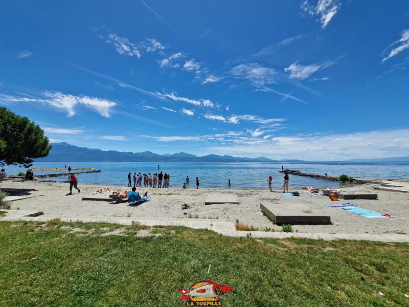 La plage depuis la bande herbeuse. Plage publique de Bellerive. Lausanne.