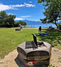 🏖️ Plage Publique de Bellerive – Lausanne