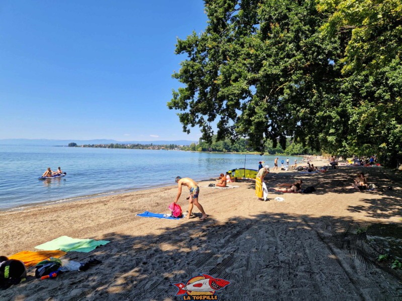 Plage côté Est, Vue de près. Plage de Vidy - Lausanne