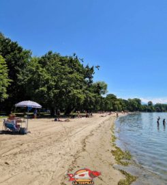 🏖️ Plage de Vidy – Lausanne