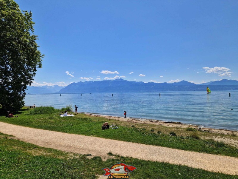 Plage de Dorigny, direction lac. St-Sulpice, Lac Léman.