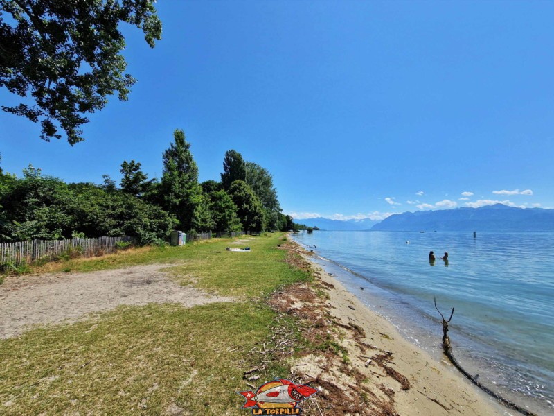 Plage de Dorigny, direction est. St-Sulpice, Lac Léman.