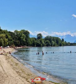 🏖️ Plage de Vidy – Lausanne