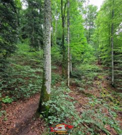 ⛰️ Gorges du Seyon – Neuchâtel