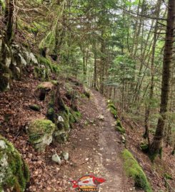 ⛰️ Gorges du Seyon – Neuchâtel