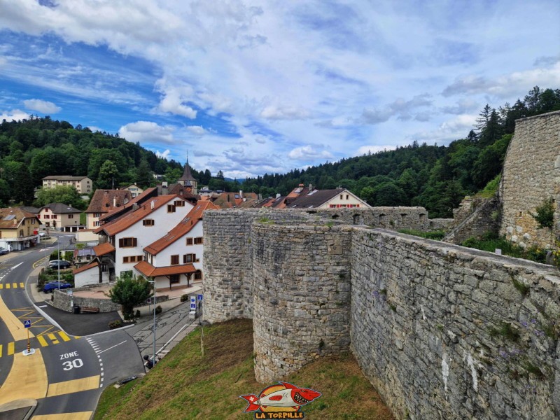 Vue côté ouest. Le château sur la droite. La ville médiévale et la collégiale sur la gauche.