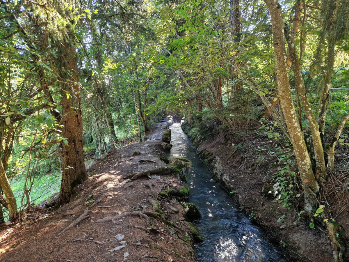 Le bisse d'Ayent dans la forêt d'Arbaz. Le bisse d'Ayent dans la forêt d'Arbaz.