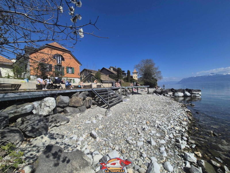 Plage Ouest, bains des dames, st-prex, canton de Vad, lac Léman.