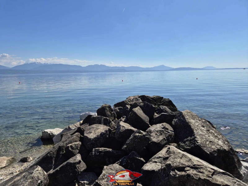 Plage centre, bains des dames, st-prex, canton de Vad, lac Léman.