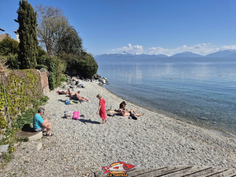 Plage est, bains des dames, st-prex, canton de Vad, lac Léman.