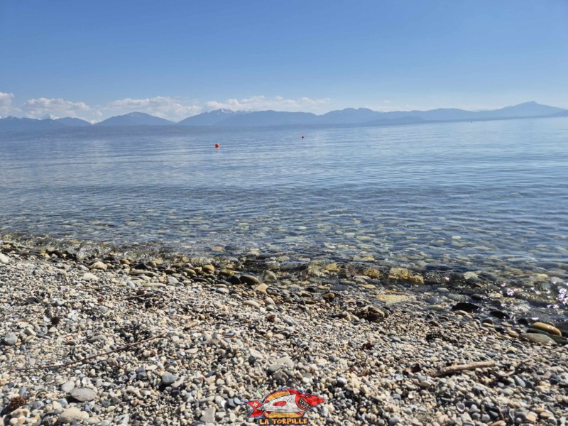Plage est, bains des dames, st-prex, canton de Vad, lac Léman.
