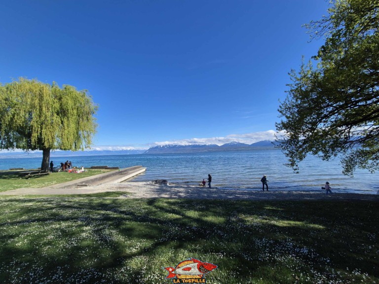 20250418 161834 plage coulet st prex