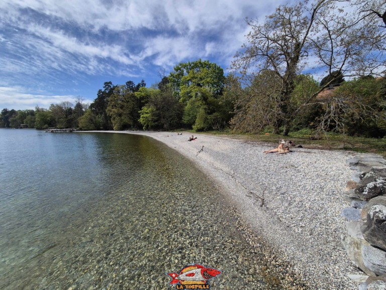 20250419 152637 plage mellieres buchillon