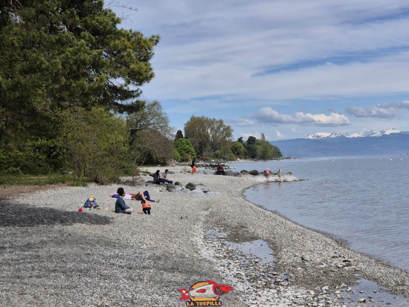 La plage des Mellières se trouve à Buchillon, entre Morges et Rolle, au bord du Léman.