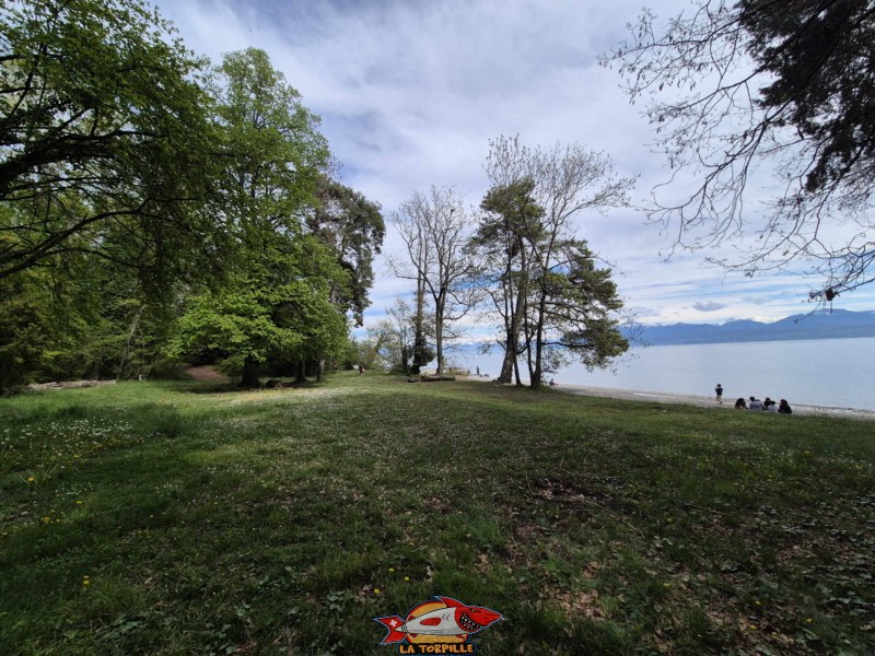 Zone herbeuse. La plage des Mellières se trouve à Buchillon, entre Morges et Rolle, au bord du Léman.