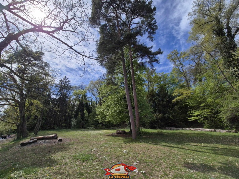 Zone herbeuse. La plage des Mellières se trouve à Buchillon, entre Morges et Rolle, au bord du Léman.