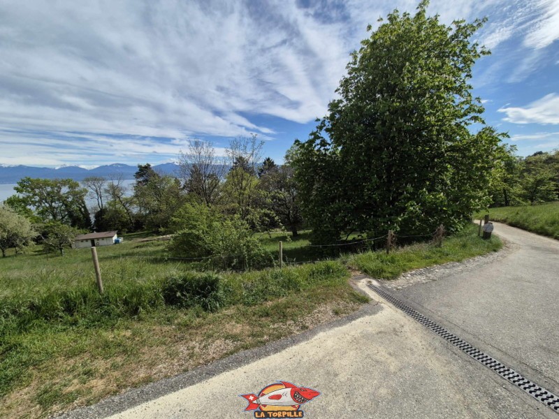 Accès. La plage des Mellières se trouve à Buchillon, entre Morges et Rolle, au bord du Léman.