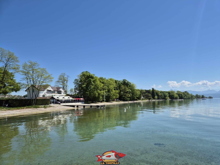 20250501 130355 plage allamand